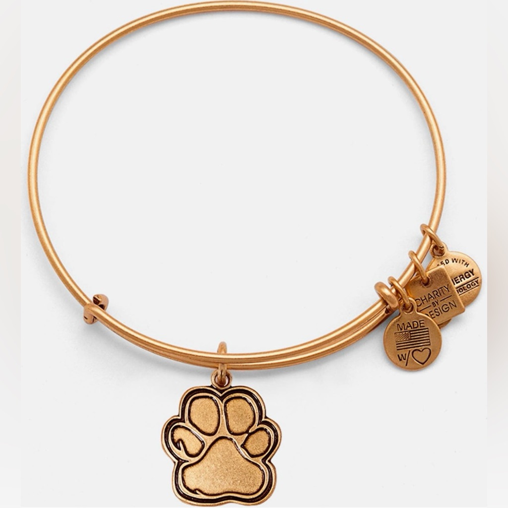 Ali And Ani Expandable Wire Bangle